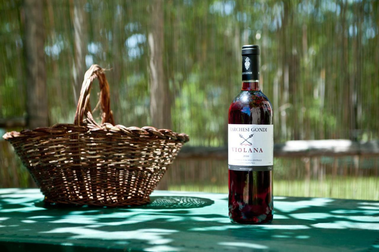 Marchesi Gondi Holiday home Pontassieve