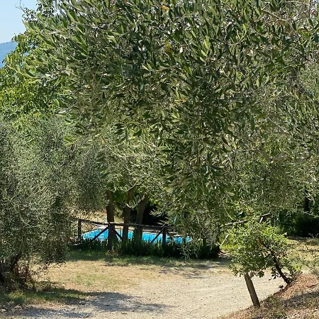Agriturismo Marchesi Gondi Pontassieve Exterior photo
