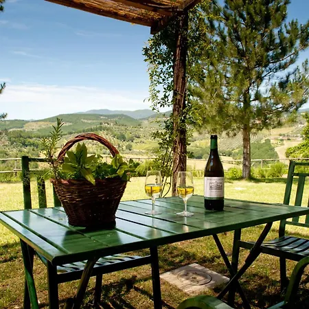 Agriturismo Marchesi Gondi Pontassieve Exterior photo