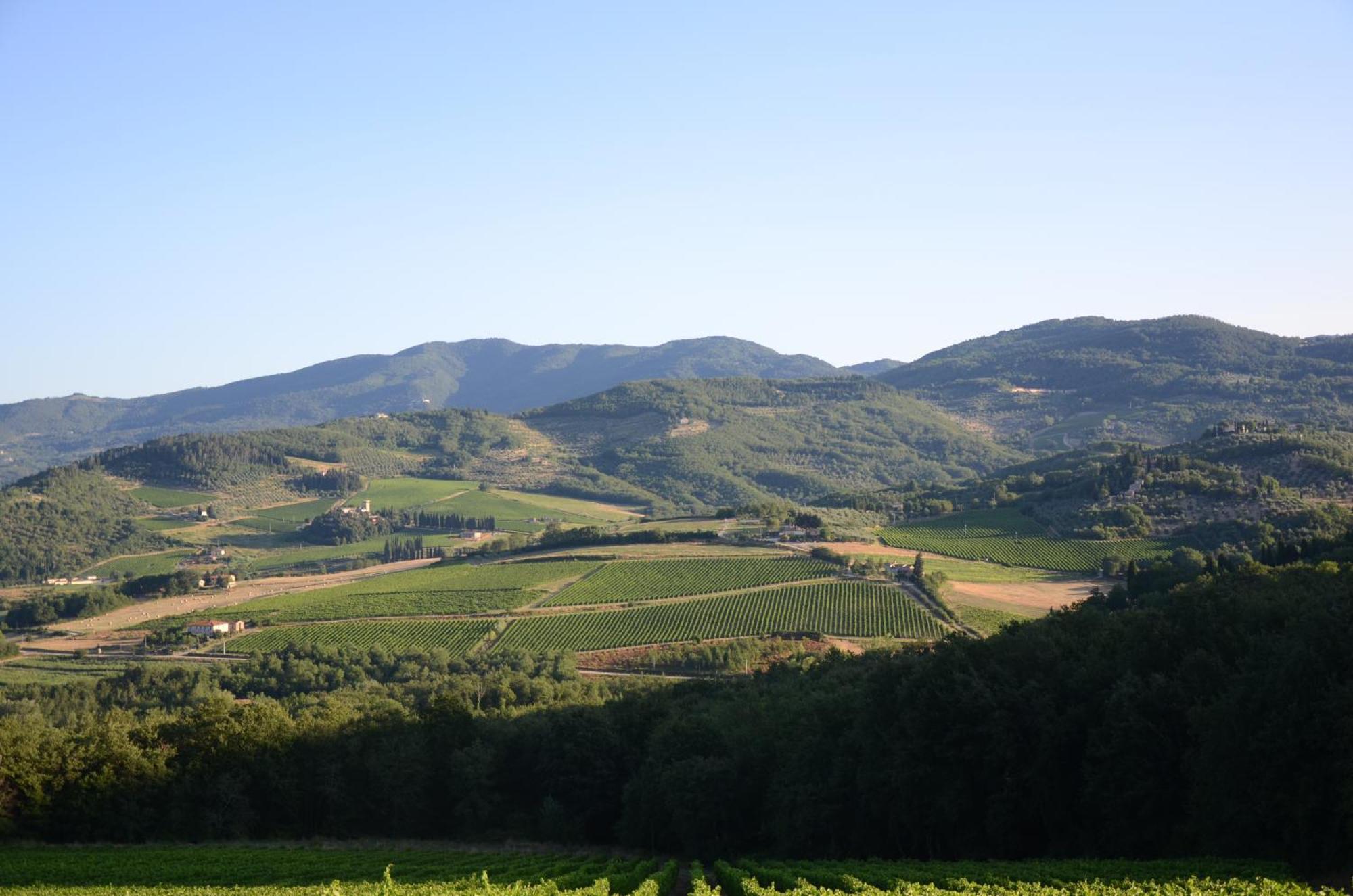Ferienhaus Marchesi Gondi *
